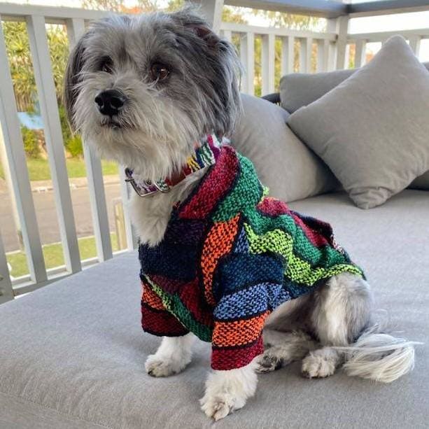 DOG Hoodies Made in Mexico